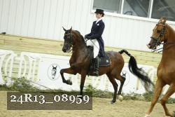 24R13_08959 thumbnail