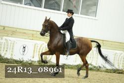 24R13_08961 thumbnail
