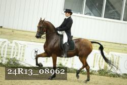24R13_08962 thumbnail