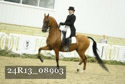 24R13_08963 thumbnail
