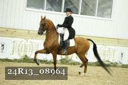 24R13_08964 thumbnail