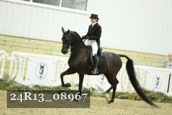 24R13_08967 thumbnail