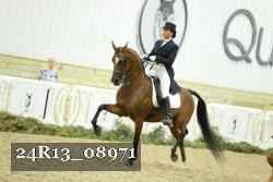 24R13_08971 thumbnail