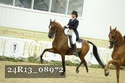 24R13_08972 thumbnail