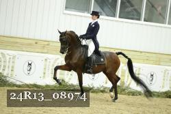 24R13_08974 thumbnail