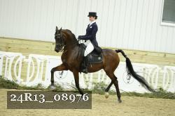 24R13_08976 thumbnail