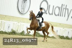24R13_08977 thumbnail