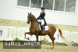 24R13_08978 thumbnail
