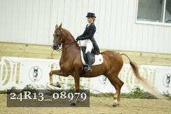 24R13_08979 thumbnail