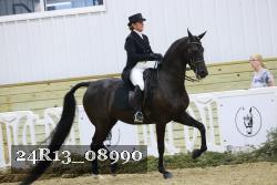 24R13_08990 thumbnail
