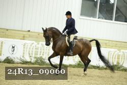 24R13_09060 thumbnail
