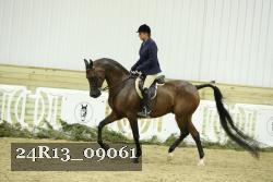 24R13_09061 thumbnail