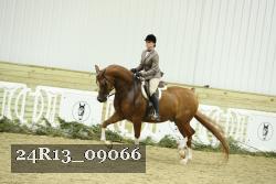24R13_09066 thumbnail