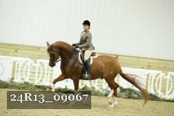 24R13_09067 thumbnail
