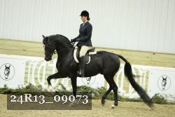 24R13_09073 thumbnail