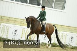 24R13_09074 thumbnail