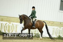 24R13_09075 thumbnail