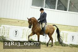 24R13_09077 thumbnail