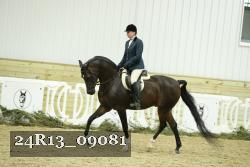 24R13_09081 thumbnail