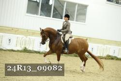 24R13_09082 thumbnail