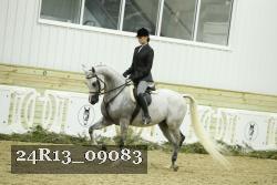 24R13_09083 thumbnail