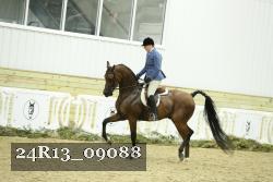 24R13_09088 thumbnail