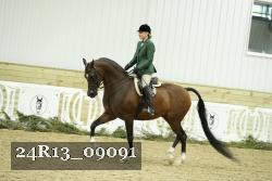 24R13_09091 thumbnail