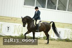 24R13_09097 thumbnail