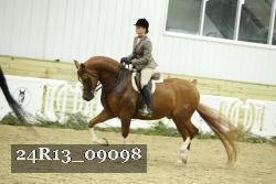 24R13_09098 thumbnail