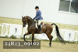 24R13_09102 thumbnail