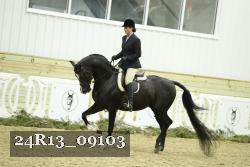 24R13_09103 thumbnail
