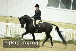 24R13_09104 thumbnail