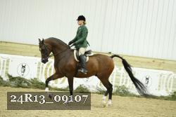 24R13_09107 thumbnail