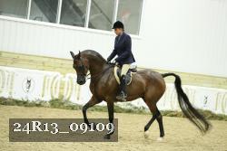 24R13_09109 thumbnail