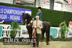 24R13_09145 thumbnail