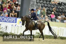 24R13_09153 thumbnail