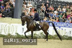 24R13_09154 thumbnail