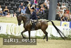 24R13_09155 thumbnail