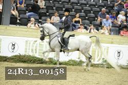 24R13_09158 thumbnail