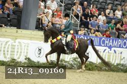 24R13_09160 thumbnail