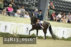 24R13_09167 thumbnail
