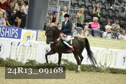 24R13_09168 thumbnail