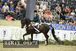 24R13_09172 thumbnail
