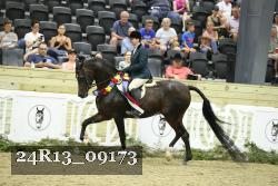 24R13_09173 thumbnail