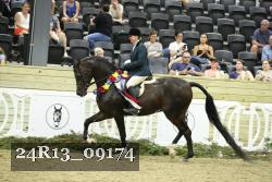 24R13_09174 thumbnail