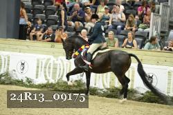 24R13_09175 thumbnail