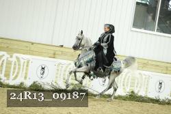 24R13_09187 thumbnail