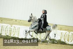24R13_09188 thumbnail