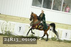 24R13_09190 thumbnail