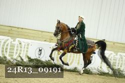24R13_09191 thumbnail